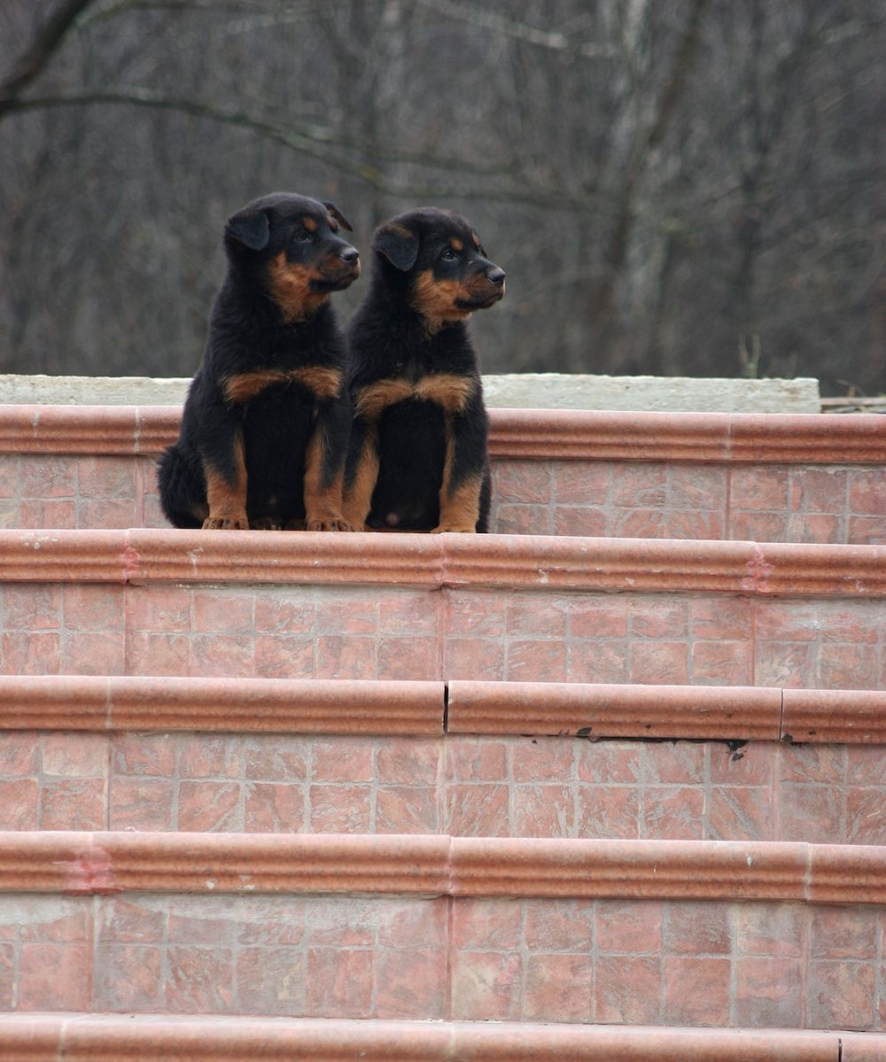 Finding Your Own Level